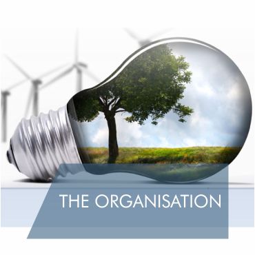 THE ORGANISATION THE ORGANISATION